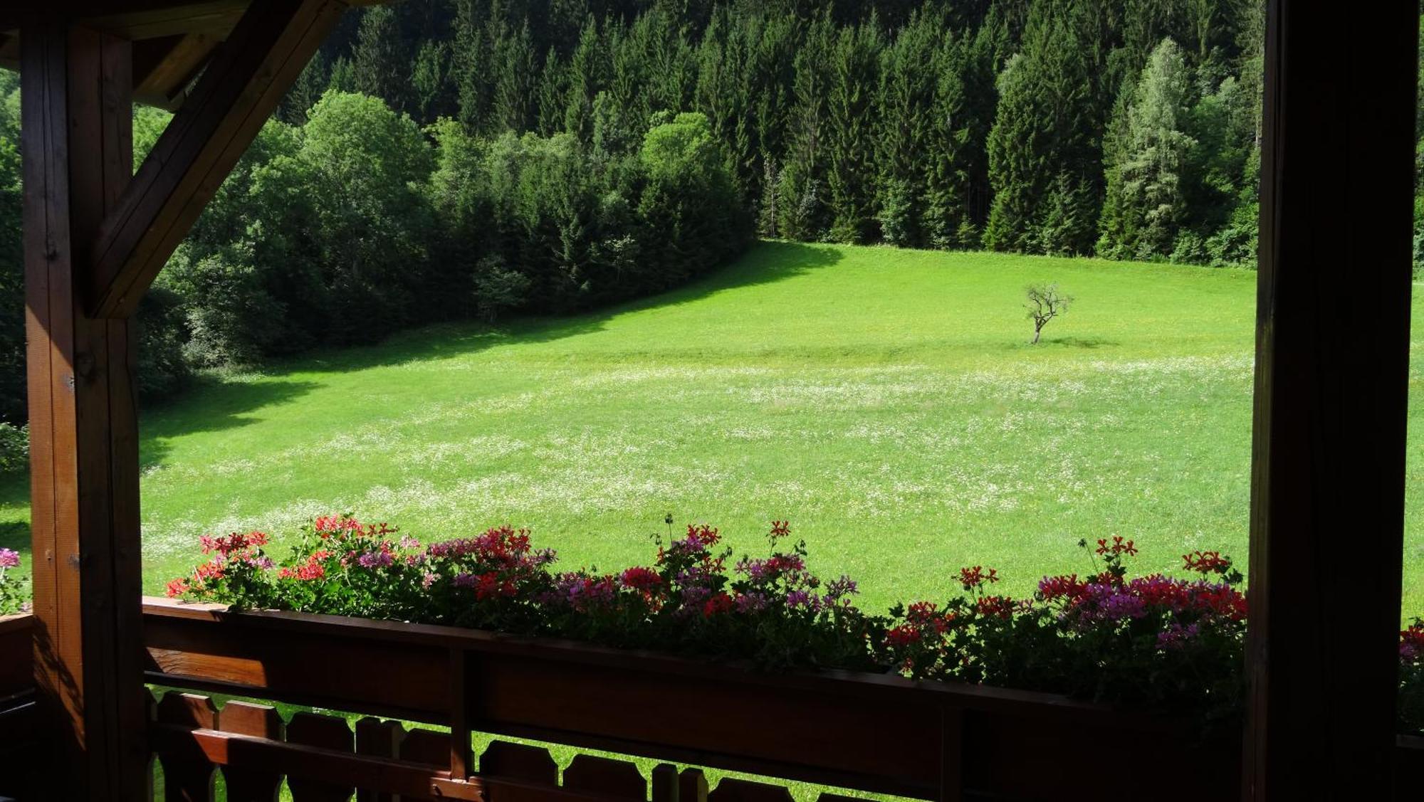 Ferienhaus Enzi Weissbriach Esterno foto